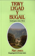 Trwy Lygad y Bugail